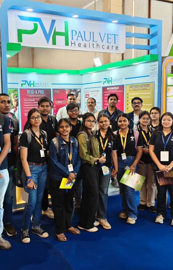 Young Minds: Learning & Engagement