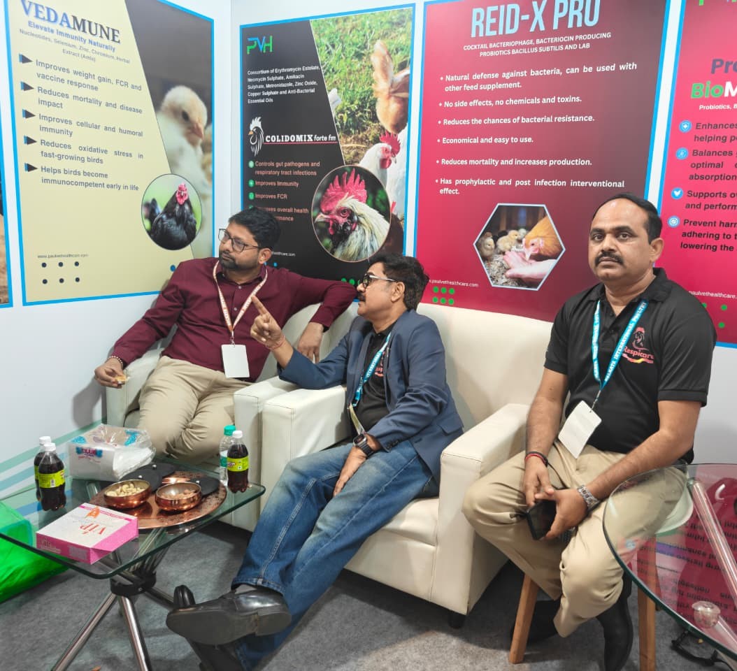 Client Interaction & Engagement